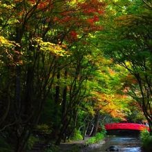 20151121@小國神社