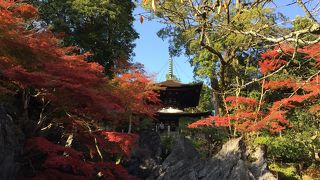 紅葉の時期は、昼も夜もオススメ!