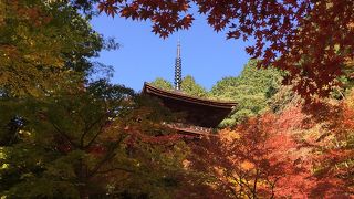 三重塔の紅葉は、滋賀県内でベスト3に入る美しさだと思います!
