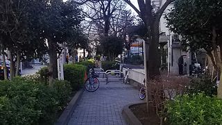 ベンチも有ります