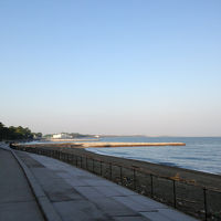 朝の散策が気持ちよい