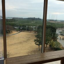 展望台からの眺め