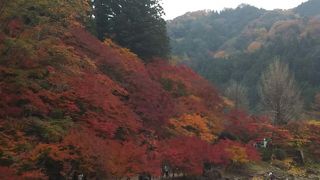 愛知県で紅葉と言えば香嵐渓★