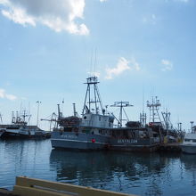 周りは船と倉庫