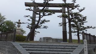 遷宮毎に建て替えられる鳥居が見印です。