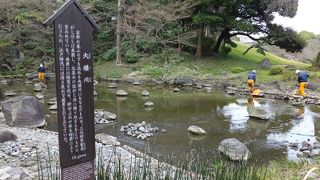 名前からして京都風。