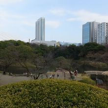 いい眺めです。