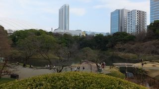 見晴らしいいです。裏側からしか登れません。