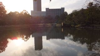 昔は舟遊びもできたのだそう。今の遊び方は？