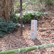 奥沢城跡の石碑があります