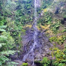 この日は水量が多くなかったが、落差はけっこうある滝だ