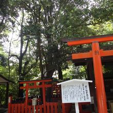 小さな祠と立て札