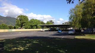 レインツリーズ ショッピング センター