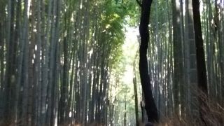 自撮りのメッカ