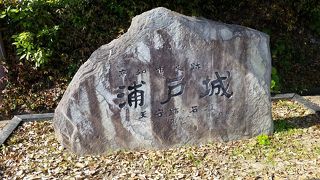 坂本龍馬記念館の目の前にあります