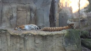 素晴らしい、夏季に訪れたいところ