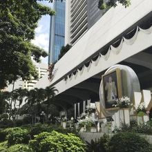 のんびり散策。