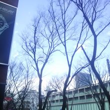 夜の写真は専用のカメラが必要です