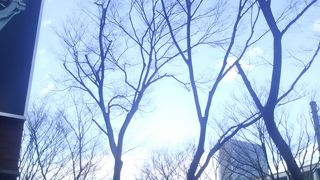 クリスマスにかけて本当にきれいです