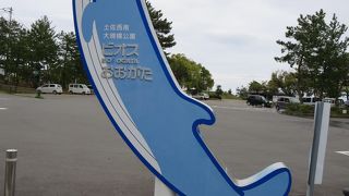 リープルアイス、さっぱりとして美味しいですよ♪おすすめですヽ(^o^)丿