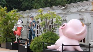 太極拳をしている人が見れる