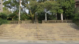 大木と石碑があるのみ