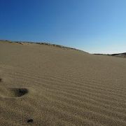 「砂丘らしき風景」を一生懸命探しました