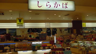 Ｔシャツがおもしろい