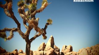 ロスからも近くていろんな絶景を楽しめる場所