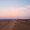 砂漠のサファリと砂丘バッシング（Net Toursのリワ サファリ体験）