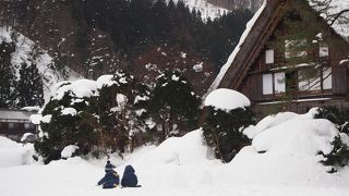 四季それぞれ美しい景色を楽しめます