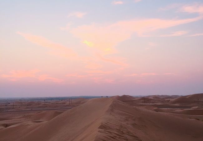 砂漠のサファリと砂丘バッシング（Net Toursのリワ サファリ体験）