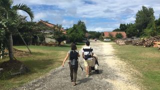 沖縄の陶器の世界を楽しめる