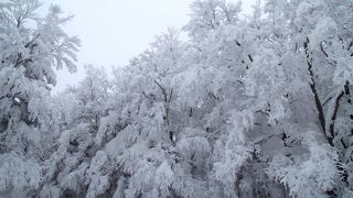 樹氷を見るために蔵王へ
