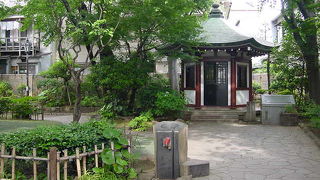 緑に囲まれた公園です