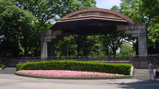 花がきれいに整備されている