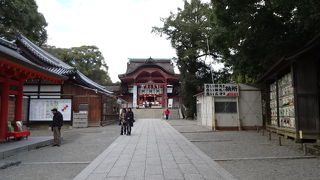 展望台を見逃した