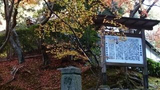 縁結びの松があるお寺