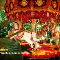 花のカルーセル。見てるだけで楽しい。