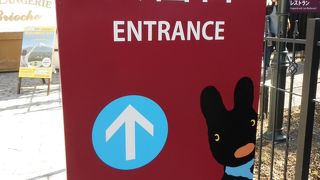 コースターたくさん