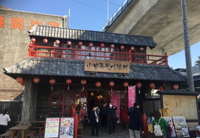 幻の魚『アブラボウズ』も&#8265;︎ 漁港近くの海鮮丼屋