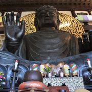奈良の大仏さんより大きな越前大仏を間近で独り占め出来るなんて