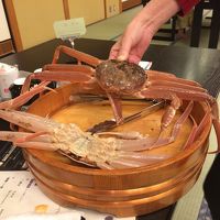 この蟹を茹でてもらいました