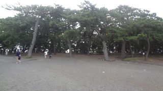 富士山が見えたら最高！