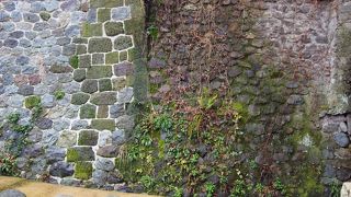 枯木橋のすぐ近く