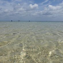 シュノーケルに最適。