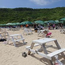 パラソルなしは無料です。