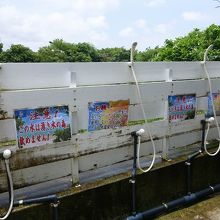 湧き水を利用したシャワー。