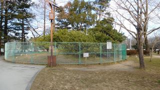 柵に囲まれています