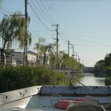 水面から見る景色